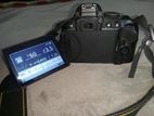 NIKON D5300 Fresh Condition...