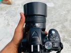 Nikon D5300 with 50mm prime