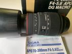 Nikon F Mount - Sigma 70-300mm f/4-5.6 DG APO Macro Lens
