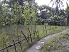 নিস্কন্টক জমি বিক্রয় হবে