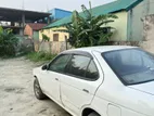 Nissan Sunny 2004
