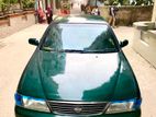 Nissan Sunny . 1996