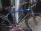 Bicycle for sell