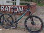 Phoenix Bicycle for sale