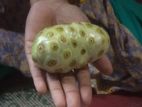 NONI FRUIT