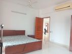 North Gulshan Semi Furnished Excellent Apartment For Rent