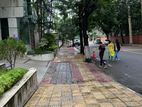 north gulshan use flat sale