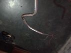 Handlebar for sale