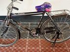 Bicycle for sell