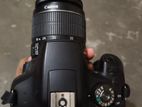Canon camera