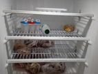 Walton fridge for sale