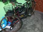 cycle for sell