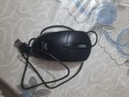 Mouse For Sell