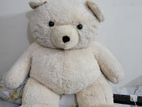 Off white teddy bear