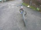 Old Bicycle Sell Hobe