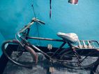 Bicycle for sell.