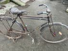 Bicycle for sell