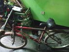 cycle for sell