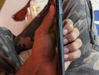 OnePlus 10 Pro . (Used)