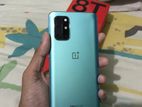 OnePlus 8T 12/256 (Used)