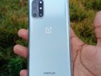 OnePlus 8T 12-(256) (Used)