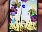 OnePlus 9 12/256 (Used)