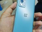 OnePlus 9RT 12/256 (Used)