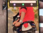 OnePlus 9RT সিরাজগঞ্জ। (Used)