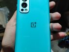 OnePlus Nord 2 5G (Used)