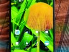 OnePlus Nord CE3 Lite (Used)