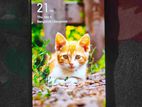 OPPO A12 4/64 (Used)