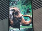 OPPO A5 pro (Used)