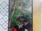 OPPO A5s . (Used)