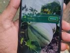 OPPO A92 full press (Used)