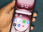 OPPO Reno 12 5g 8/256 (Used)