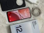 OPPO Reno 12F 5G 12/256 (Used)