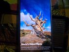 OPPO Reno 13F 8/256 (Used)