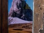 OPPO Reno 8T q (Used)