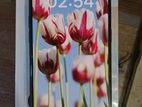 OPPO Reno 8T (Used)
