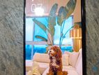 OPPO Reno 8T (Used)