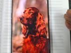 OPPO Reno5 Pro . (Used)