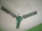 ORGINAL GFC 56” FAN