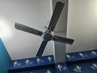 Orient Ceiling Fan Ornamental 48" 4 Blade Silver Blue