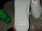 Original Adidas Shoe from Korea