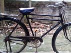 Original China Phoneix Bicycle sell