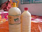 original cow milk shahzadpur sirajgonj