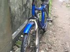 Duranta Bicycle for sale