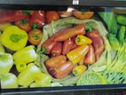 Original HP Monitor Full Fresh 19" Led