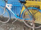 original Indian jumbo cycle(fresh condition)
