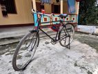 Original Phoenix Bicycle